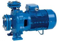 Насосный агрегат моноблочный фланцевый SAER IR 50-200NC